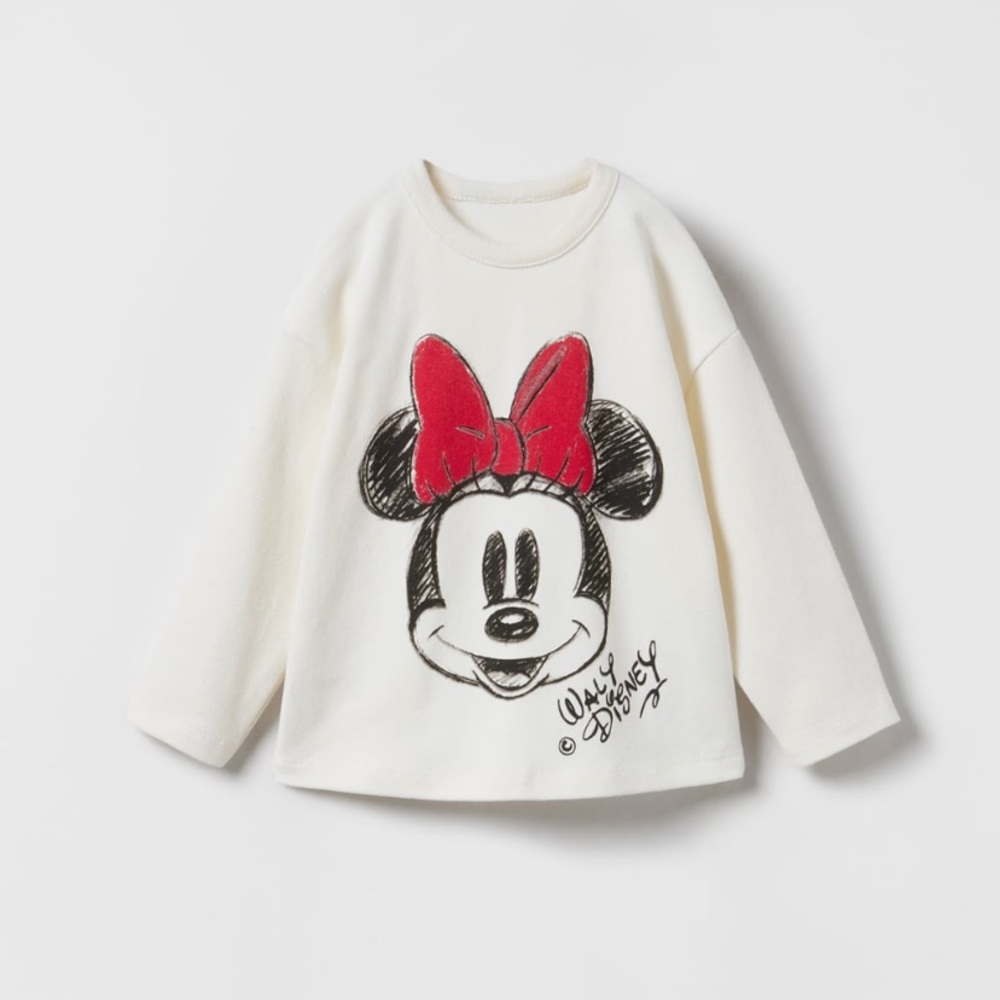 Zara Disney top